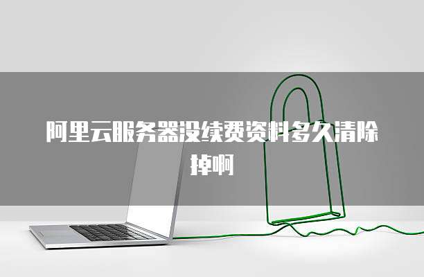 阿里云服务器没续费资料多久清除掉啊