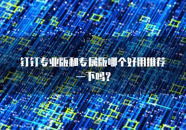 钉钉专业版和专属版哪个好用推荐一下吗？