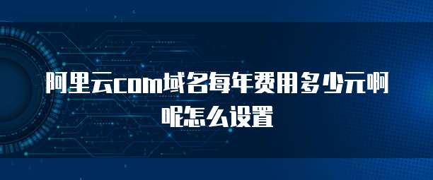 阿里云com域名每年费用多少元啊呢怎么设置