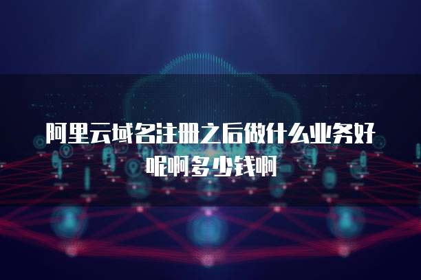 阿里云域名注册之后做什么业务好呢啊多少钱啊
