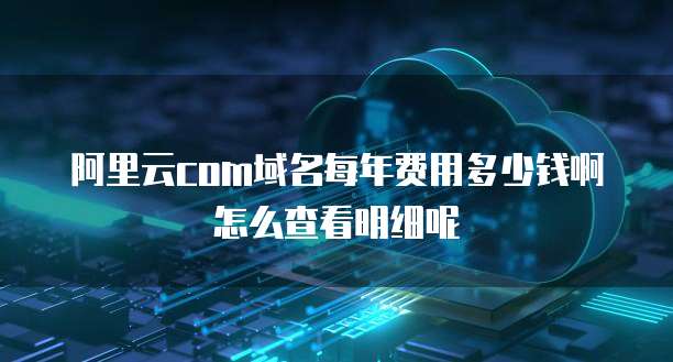 阿里云com域名每年费用多少钱啊怎么查看明细呢