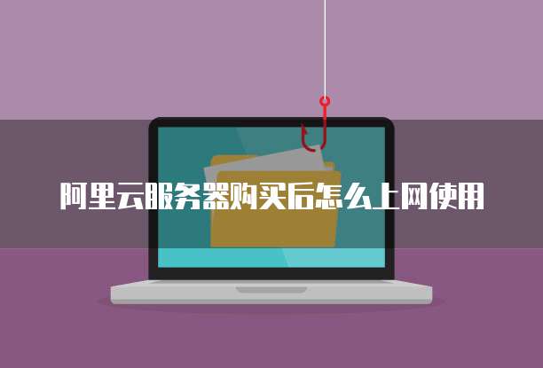 阿里云服务器购买后怎么上网使用