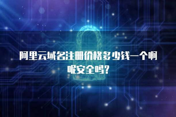 阿里云域名注册价格多少钱一个啊呢安全吗?