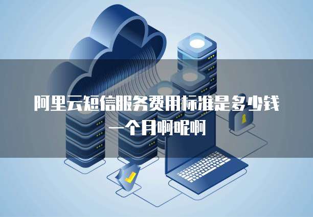 阿里云短信服务费用标准是多少钱一个月啊呢啊