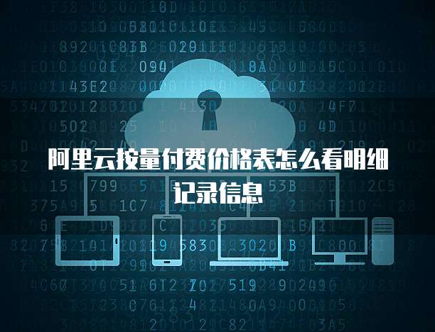 阿里云按量付费价格表怎么看明细记录信息