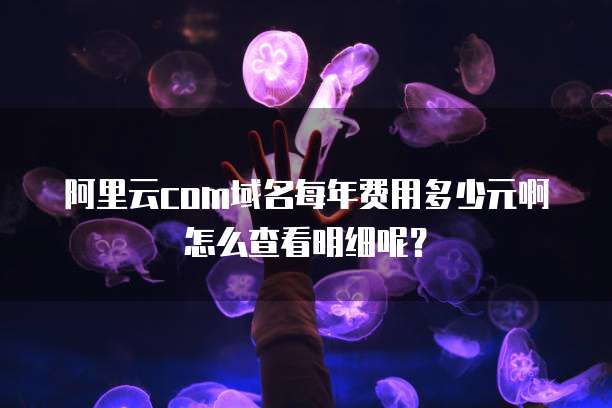 阿里云com域名每年费用多少元啊怎么查看明细呢?