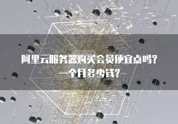 阿里云服务器购买会员便宜点吗?一个月多少钱?