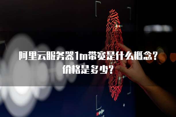 阿里云服务器1m带宽是什么概念?价格是多少?