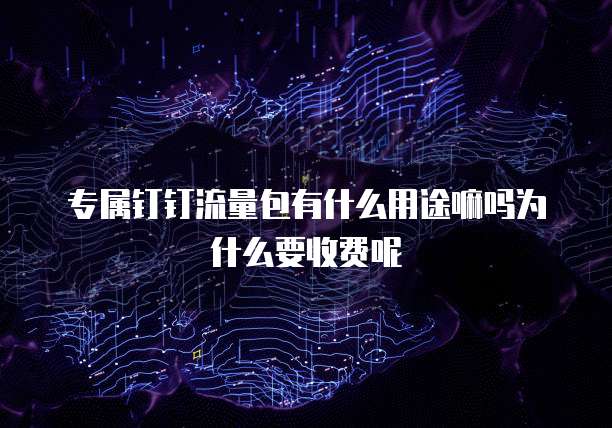 专属钉钉流量包有什么用途嘛吗为什么要收费呢