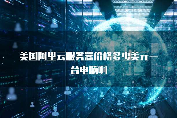 美国阿里云服务器价格多少美元一台电脑啊