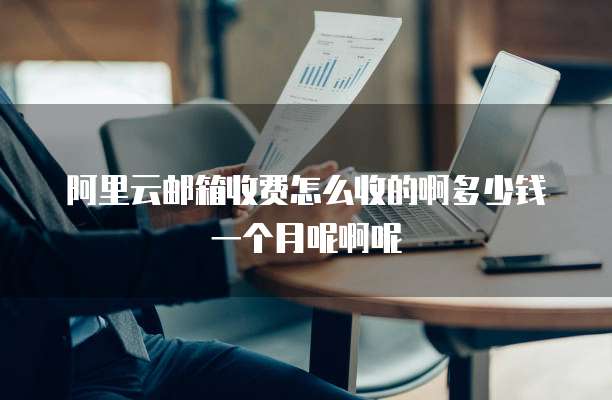 阿里云邮箱收费怎么收的啊多少钱一个月呢啊呢