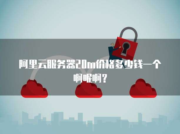 阿里云服务器20m价格多少钱一个啊呢啊？