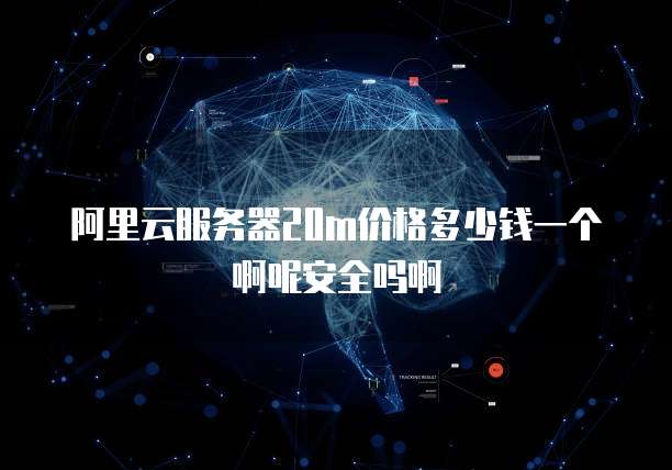 阿里云服务器20m价格多少钱一个啊呢安全吗啊