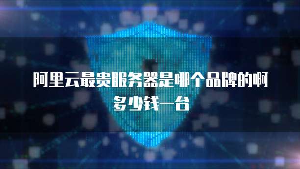 阿里云最贵服务器是哪个品牌的啊多少钱一台