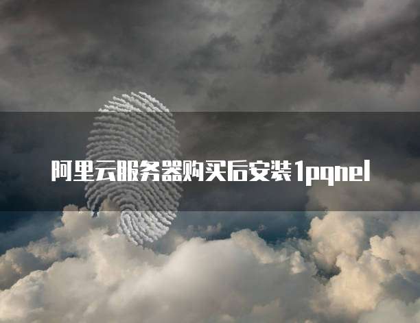 阿里云服务器购买后安装1pqnel