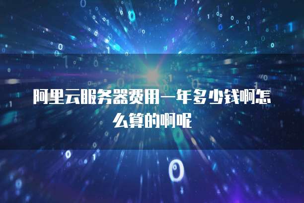 阿里云服务器费用一年多少钱啊怎么算的啊呢