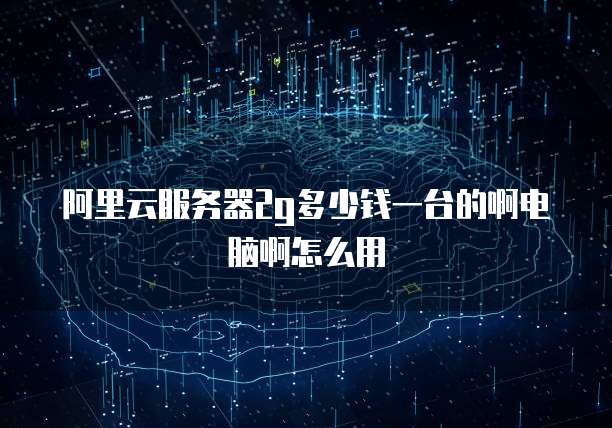 阿里云服务器2g多少钱一台的啊电脑啊怎么用