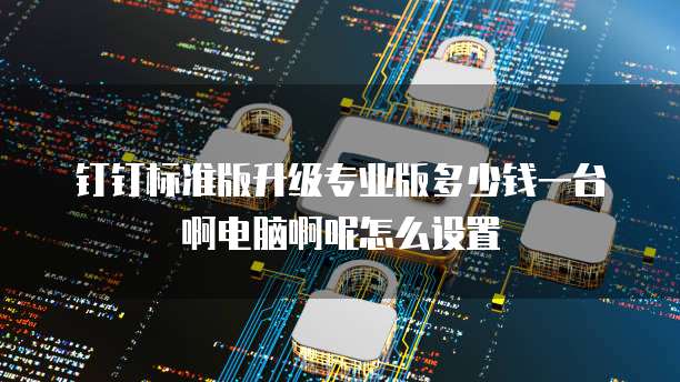 钉钉标准版升级专业版多少钱一台啊电脑啊呢怎么设置