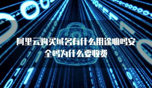 阿里云购买域名有什么用途嘛吗安全吗为什么要收费