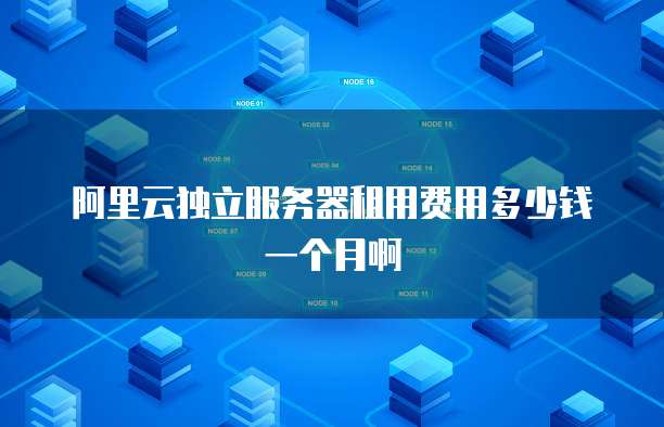 阿里云独立服务器租用费用多少钱一个月啊
