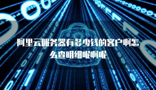 阿里云服务器有多少钱的客户啊怎么查明细呢啊呢