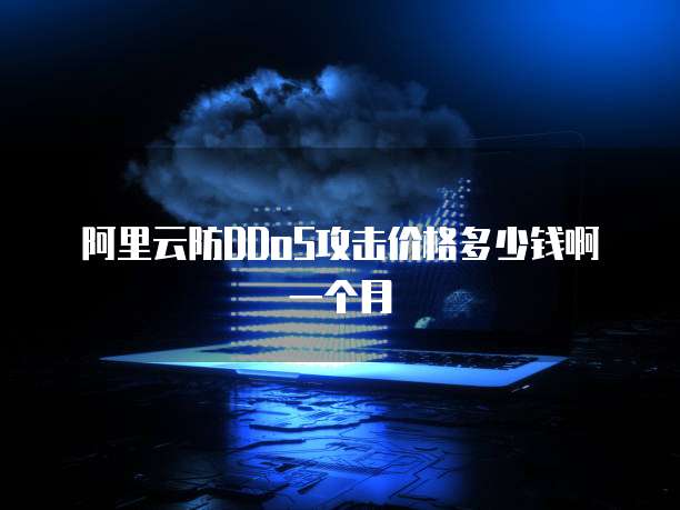 阿里云防DDoS攻击价格多少钱啊一个月