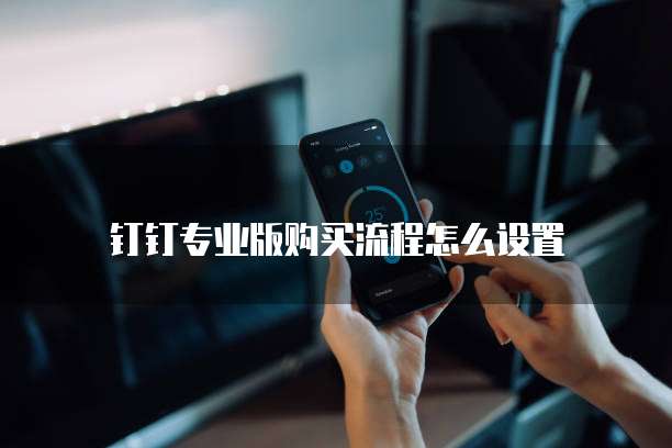 钉钉专业版购买流程怎么设置