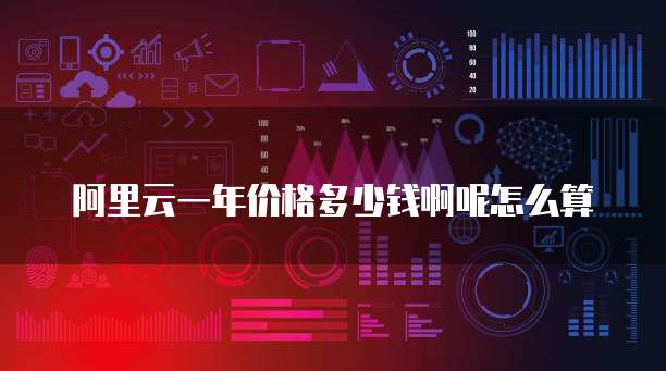 阿里云一年价格多少钱啊呢怎么算