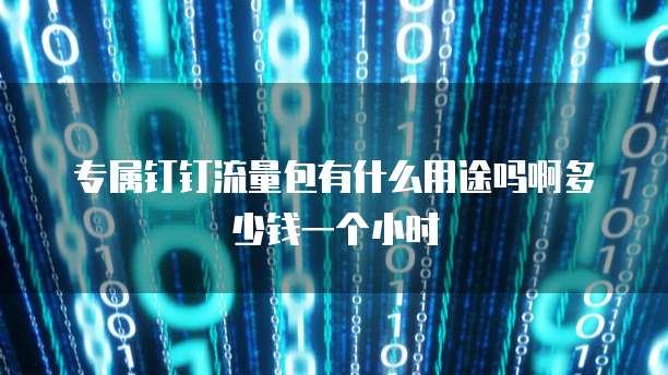 专属钉钉流量包有什么用途吗啊多少钱一个小时