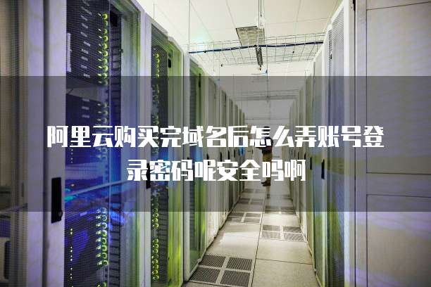 阿里云购买完域名后怎么弄账号登录密码呢安全吗啊
