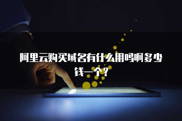 阿里云购买域名有什么用吗啊多少钱一个?
