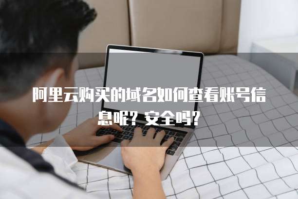 阿里云购买的域名如何查看账号信息呢?安全吗?