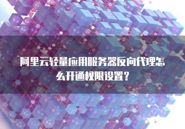 阿里云轻量应用服务器反向代理怎么开通权限设置?