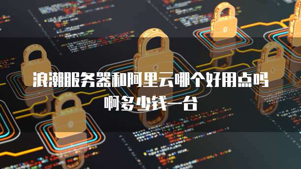 浪潮服务器和阿里云哪个好用点吗啊多少钱一台