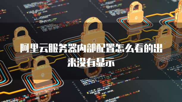 阿里云服务器内部配置怎么看的出来没有显示