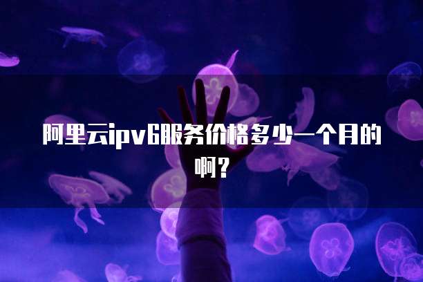 阿里云ipv6服务价格多少一个月的啊?