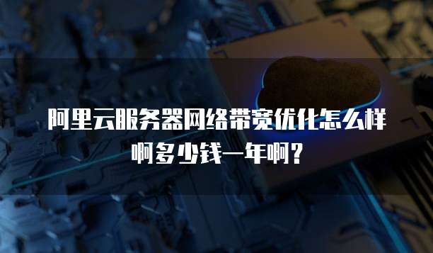 阿里云服务器网络带宽优化怎么样啊多少钱一年啊?