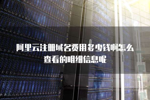阿里云注册域名费用多少钱啊怎么查看的明细信息呢