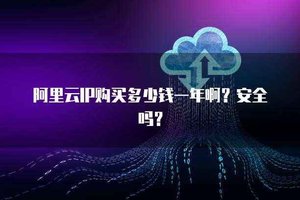 阿里云IP购买多少钱一年啊?安全吗?
