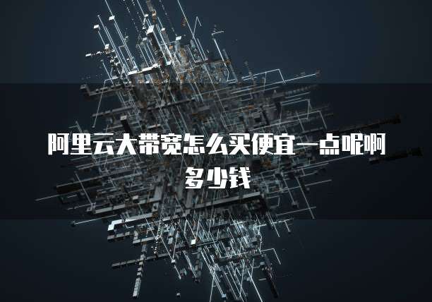 阿里云大带宽怎么买便宜一点呢啊多少钱