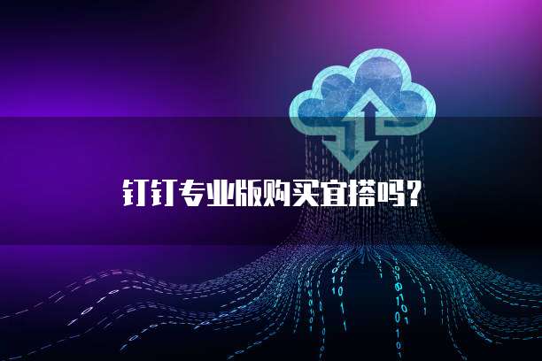 钉钉专业版购买宜搭吗?