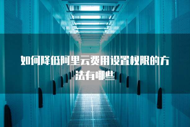 如何降低阿里云费用设置权限的方法有哪些