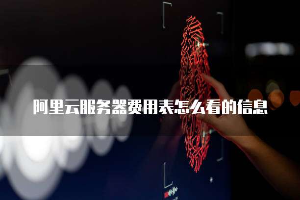 阿里云服务器费用表怎么看的信息
