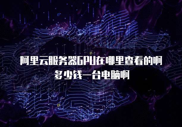 阿里云服务器GPU在哪里查看的啊多少钱一台电脑啊