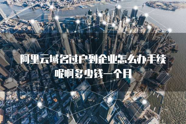 阿里云域名过户到企业怎么办手续呢啊多少钱一个月