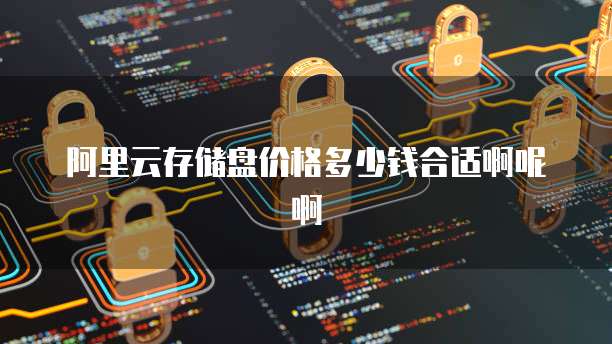阿里云存储盘价格多少钱合适啊呢啊