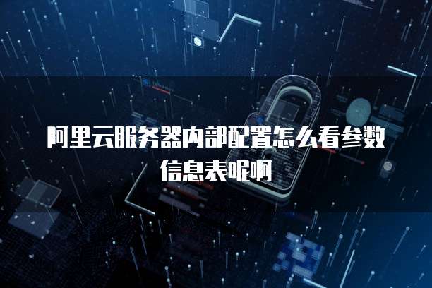 阿里云服务器内部配置怎么看参数信息表呢啊
