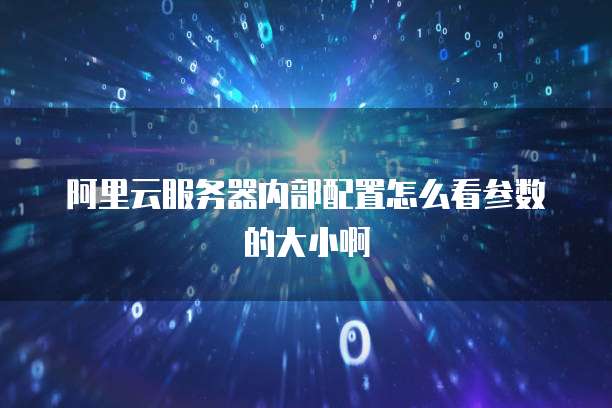 阿里云服务器内部配置怎么看参数的大小啊