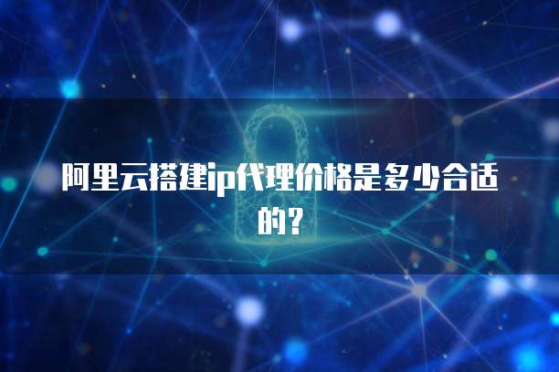 阿里云搭建ip代理价格是多少合适的?