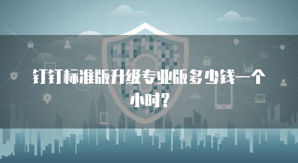 钉钉标准版升级专业版多少钱一个小时?